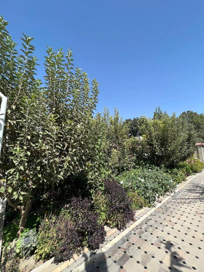 Stariy Marokand Samarkand Exterior photo